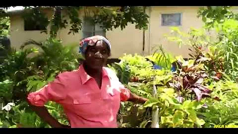 Elaine Hoyte - Presents A Garden Tour In (Horton V...