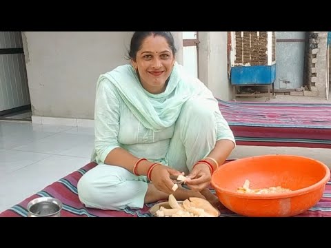 Desi Village Couple Vlog Rural Life 👌India House Wife 🙏|| Happy Vlog ||