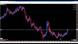 The 373 Forex #1