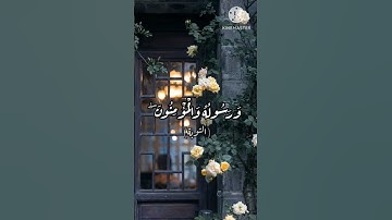 (سـورة التـوبة 104-105) القارئ #ياسر_الدوسري