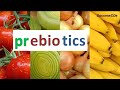 Prebiotics Foods | Prebiotics are good for Digestive Health