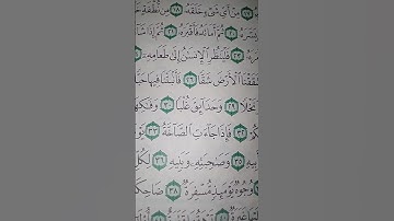 ما معنى "فإذا جاءت الصاخة"#سورة #عبس