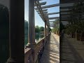 #travel #europe #walking #badpyrmont #palmengarten #palmen #capcut #kurort #germany #shorts