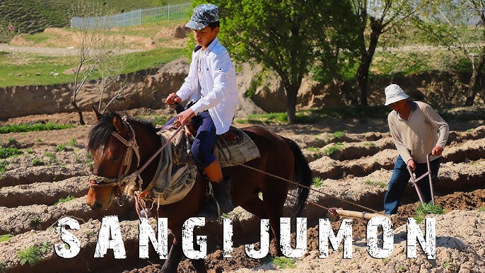 Silikonsiz eng chiroyli transseksuallar