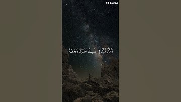 سورة الأعراف ياسر الدوسري واذا قرئ القران فاستمعوا له #قرآن #قران_كريم #صلوا_على_النبي
