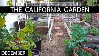 The California Garden In December