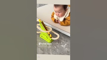 #الاسراء #اسلام صبحي #سورة الإسراء #قران كريم #اكسبلور #المصحف #تيك توك #funny #animals #cute