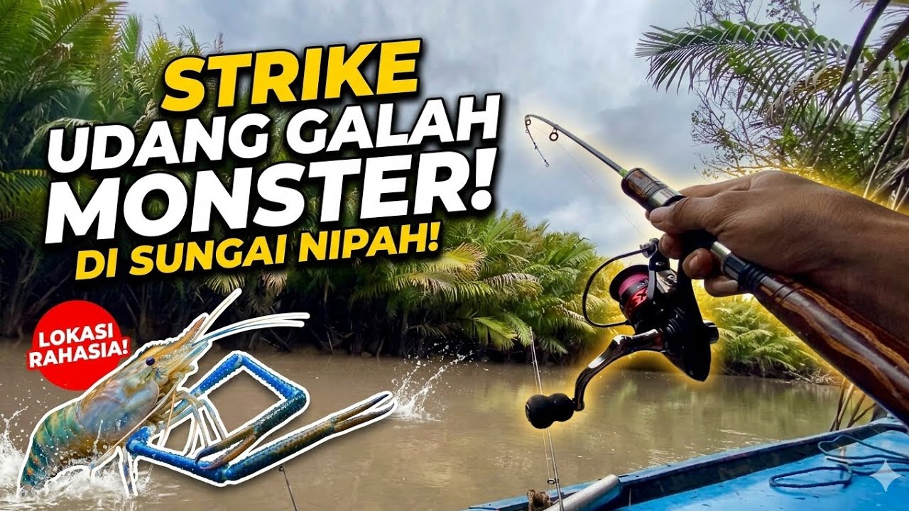 STRIKE UDANG GALAH DISUNGAI NIPAH || MANCING UDANG GALAH Eps.03