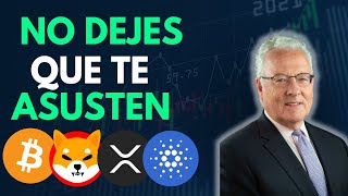 ✅ ESTÁN COMPRANDO EN LA CAÍDA ? Noticias Criptomonedas Hoy | Bitcoin | Etherum | Xrp | Shiba inu