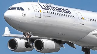 40 HEAVY LANDINGS in 20 MINUTES | A340 747 A380 777 | Frankfurt Airport Plane Spotting