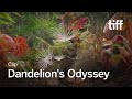 DANDELION'S ODYSSEY Clip | TIFF 2025