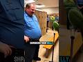 Parrot Roasting Fat officers//Parrot Roasting videos// #funny #ytshorts #viral #talkingparot