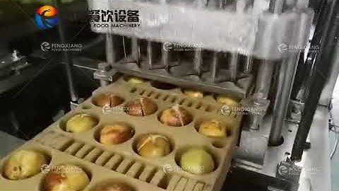 Automatic Fruit Core Removing Machine Plum Stoner