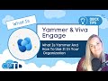 WHAT IS:  What is Yammer and How To Use it in Your Oganization