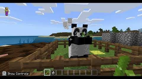 How to tame pandas in Minecraft