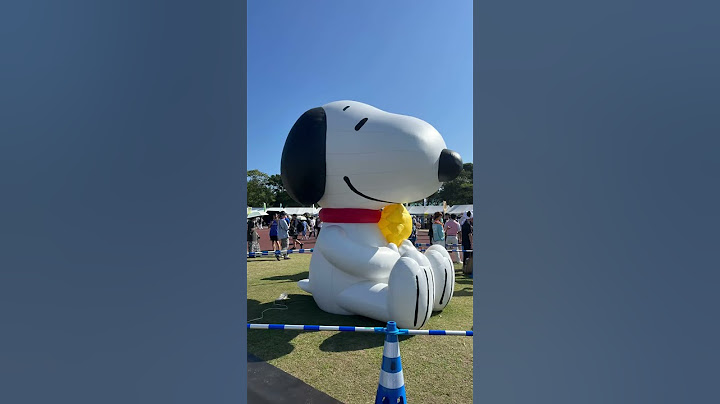 おひさまのみなさん、宮崎へようこそ　#shorts #ひなたフェス2024