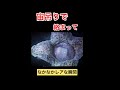 【閲覧注意】刺激が強すぎたらすみません。
