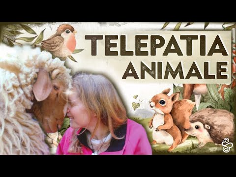 Video: Telepati Animali: Comunicazione Diretta Con Una Persona - Visualizzazione Alternativa