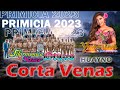 CORTA VENAS - PRIMICIA HUAYNO 2023