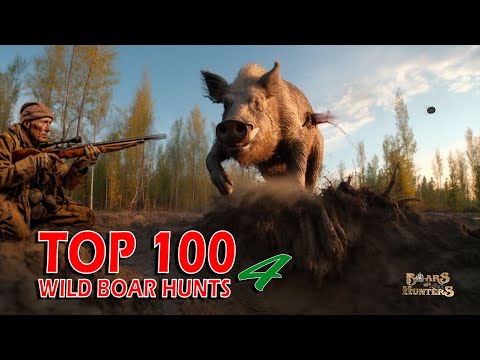 Top 100 wild boar hunts of \