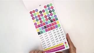Mini Happy Planner Sticker Book Flip Through: Planning Basics