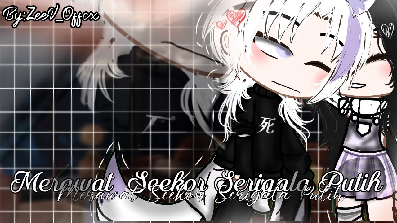 •🪴•°`Merawat Seekor Serigala Putih`°•🐺•|| GCMM Indonesia