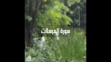 سورة : المرسلات القارئ : رعد الكردي