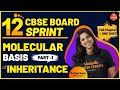 Molecular Basis of Inheritance: Part 1 | CBSE Class 12 Biology | By Dr. Vani Mam | Vedantu