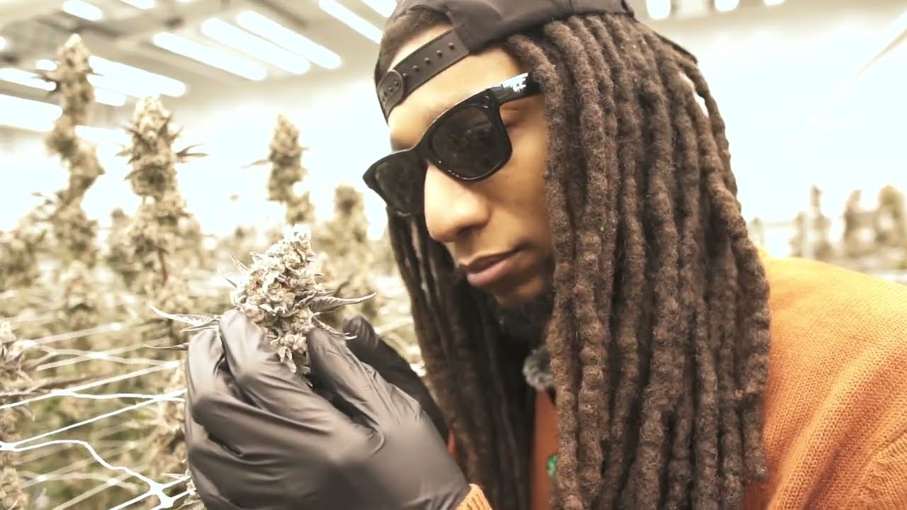 Tours With $Lim: Elysium Cultivation