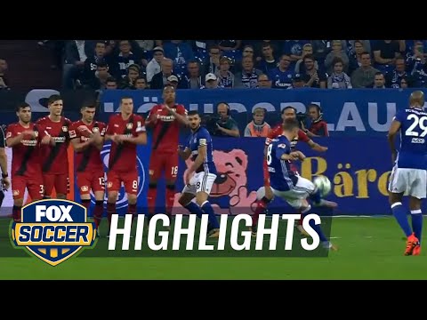 ayamjago88 x juaratoto - FC Schalke vs. Bayer Leverkusen | 2017-18 Bundesliga Highlights