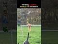 Ranking Craziest Animal Fails of All Time 🐶🔥