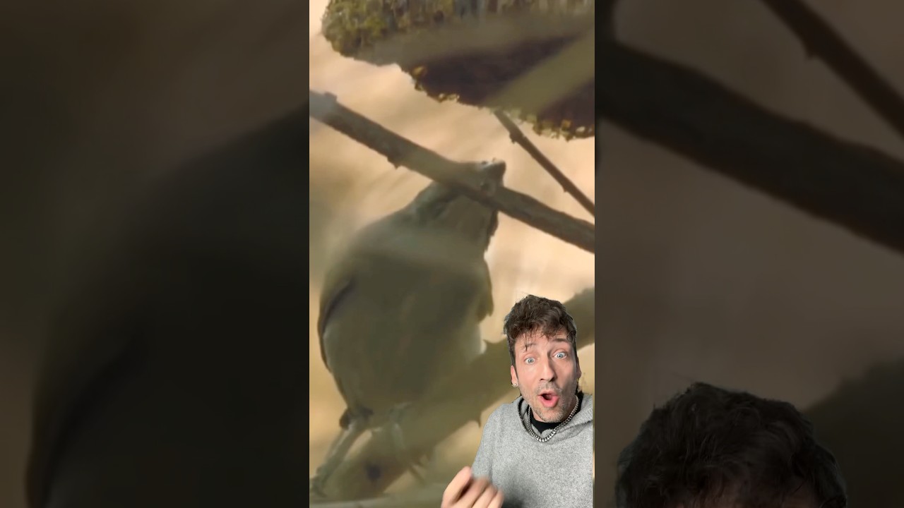 Совет вашему гиду по меду