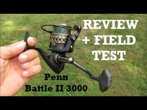 Penn Battle II 3000 REVIEW + Field Test on Bullnose Ray 