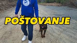 Šaptač psima-Rotweiler Loki (@šaptačpsima_daxkroja)