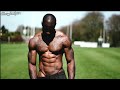 MMA AND CALISTHENICS COMBINATION INSANE CALISTHENICS MOTIVATION