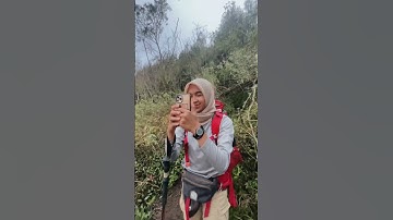 Eps7 | PENDAKIAN GUNUNG LAWU #shorts #gununglawu #ceritahorrorstory