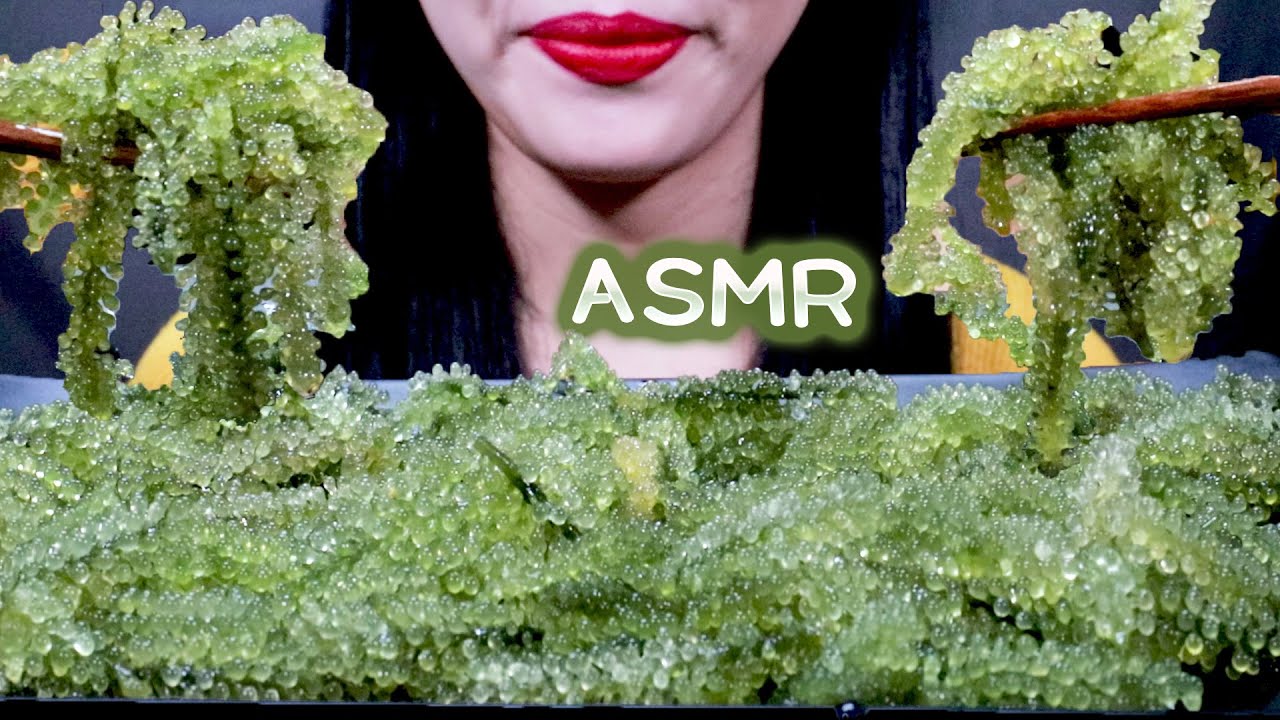 오독오독한 바다포도 사운드 어쩔 Sea grapes Anggur laut องุ่นทะเล 海ぶどう Nho biển समुद्री अंगूर সমুদ্রের আঙ্গুর