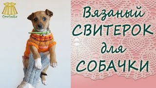 ✿►Вязаный свитерок◄✿ для маленькой собачки-модницы. ✿►Вязаный свитерок◄✿ для маленькой собачки-модницы.