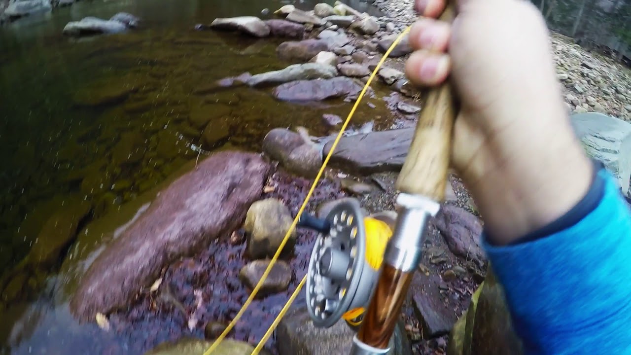 Winter Fly Fishing Loyalsock Creek Worlds End State Park PA Nymphing YouTube