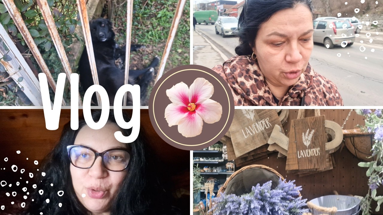 VLOG KAKAV VOLITE | Vraćen ulični pas, Vodim vas kroz Garden centar, Mere, Stigao novi ormar!