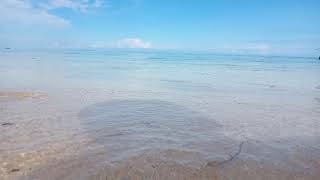 Pesona Pantai Wakatobi|| story wa pantai || story wa 30 detik #shorts