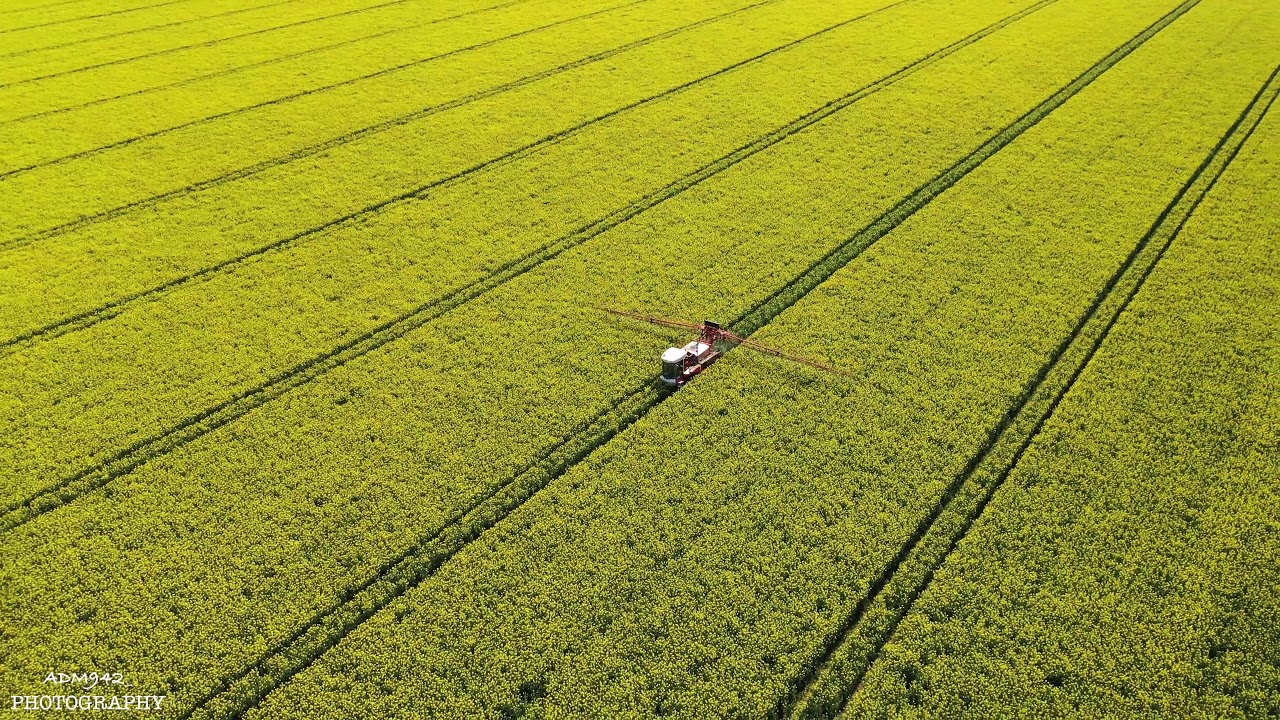 Bateman sprayer spraying oil seed rape  2019