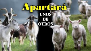 Mateo 25:31-33 Cuando el Hijo del Hombre venga en su gloria, apartará las ovejas de los cabritos.