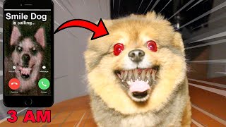 (MY DOG TURNED INTO SMILE DOG) Facetiming Smile Dog at 3 AM GONE WRONG