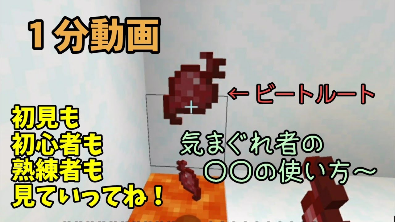 Minecraft マインクラフト 1分動画 気まぐれ者の の使い方 ビートルートの紹介をしてみた マインクラフト マイクラ ビートルート Youtube Minecraft マインクラフト 1分動画 気まぐれ者の の使い方 ビートルートの紹介をしてみた マインクラフト マイクラ ビートルート Youtube