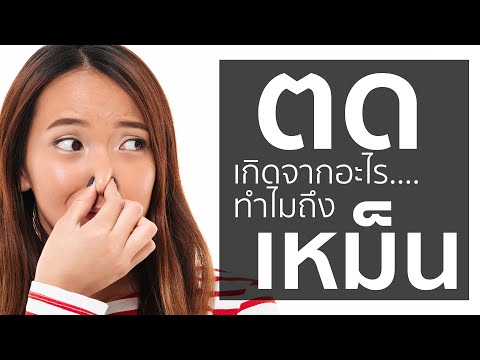 ตดเกิดจากอะไร ทำไมตดถึงเหม็น - ผายลมเรื่องธรรมชาติไม่ต้องอายใคร