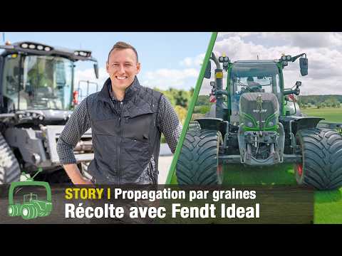 Récolte des graines de gazon au gazon en rouleaux parfait | Moissonneuse-batteuse Fendt Ideal 10T