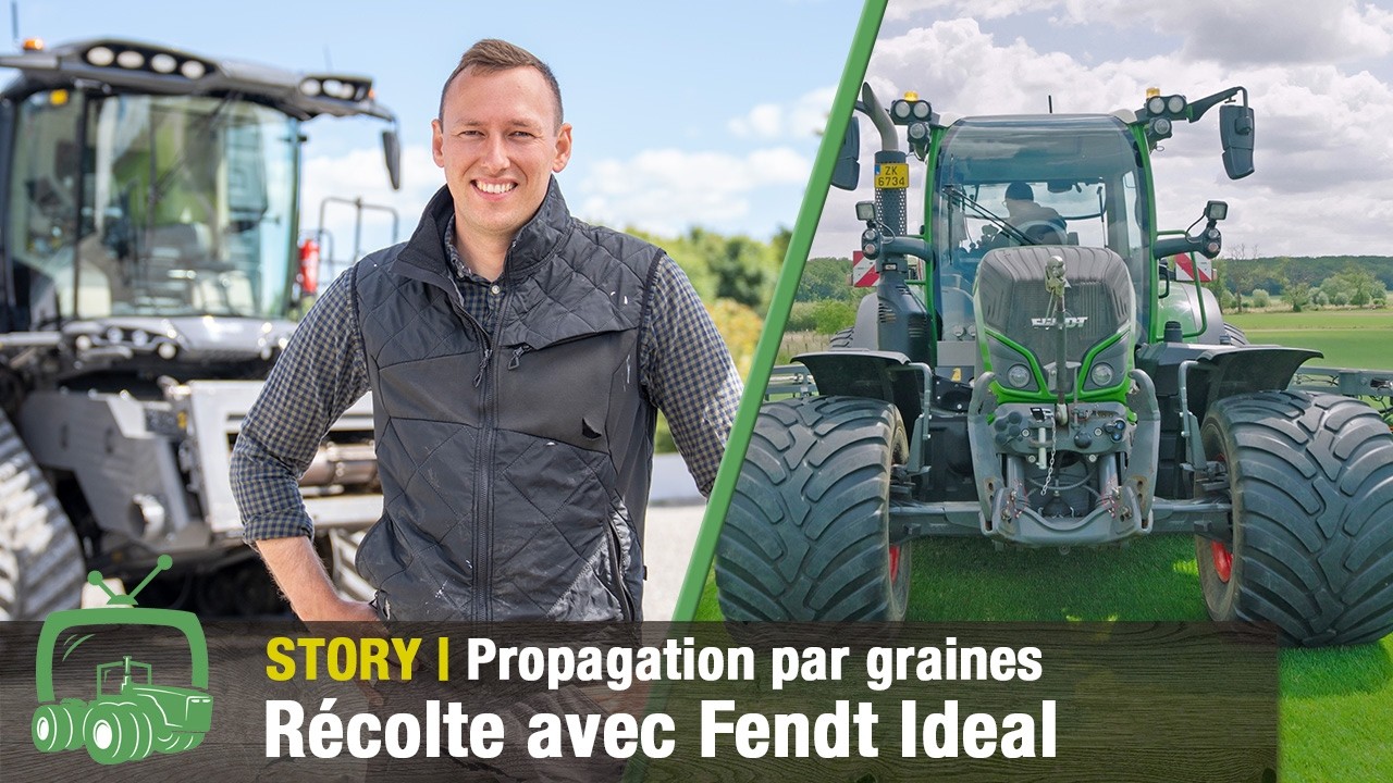 Récolte des graines de gazon au gazon en rouleaux parfait | Moissonneuse-batteuse Fendt Ideal 10T