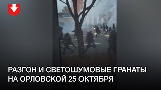 Разгон и светошумовые гранаты на Орловской 25 октября