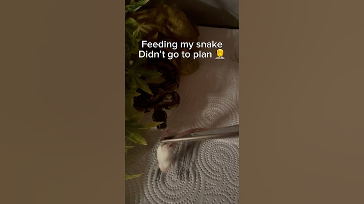It almost ended badly.. but I managed to get him off unharmed #reptiles #reptile #fypシ